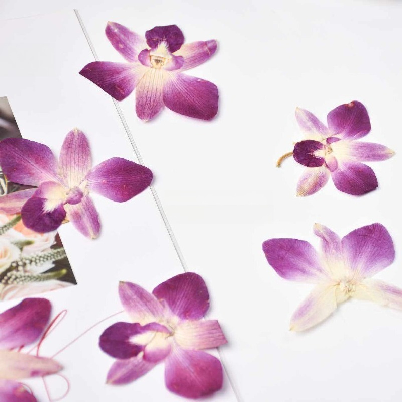 4 peças, Flores de Orquídea Bo - Art Craft Flower avaliação e preço