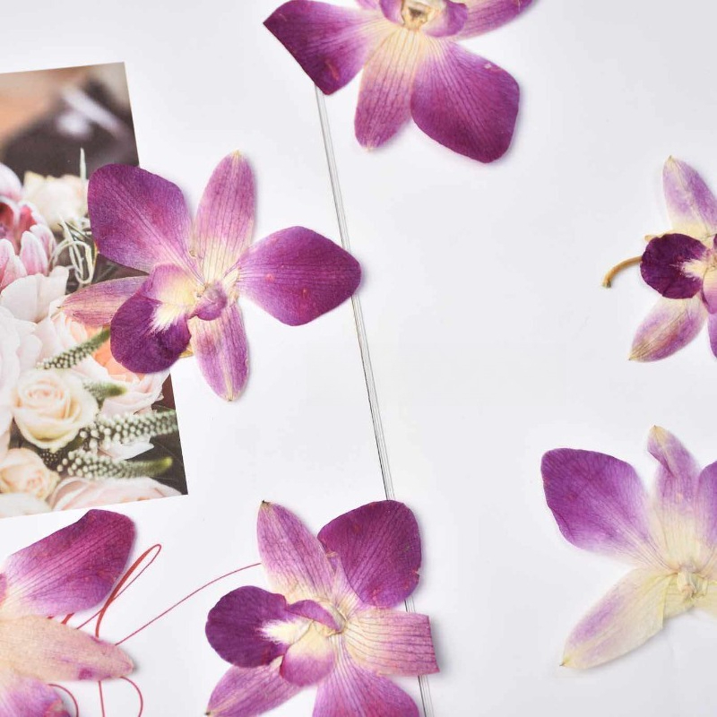 4 peças, Flores de Orquídea Bo - Art Craft Flower avaliação e preço